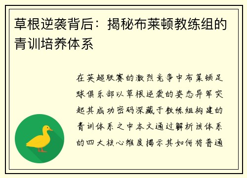 草根逆袭背后：揭秘布莱顿教练组的青训培养体系