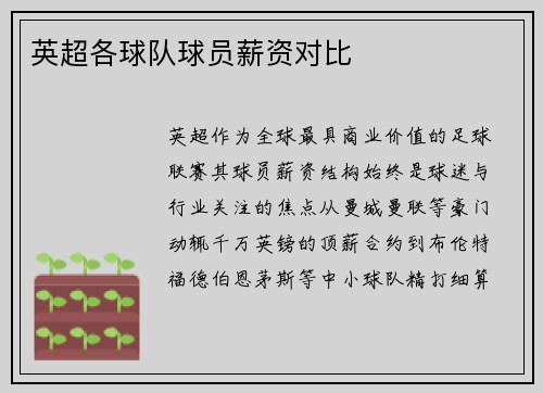 英超各球队球员薪资对比